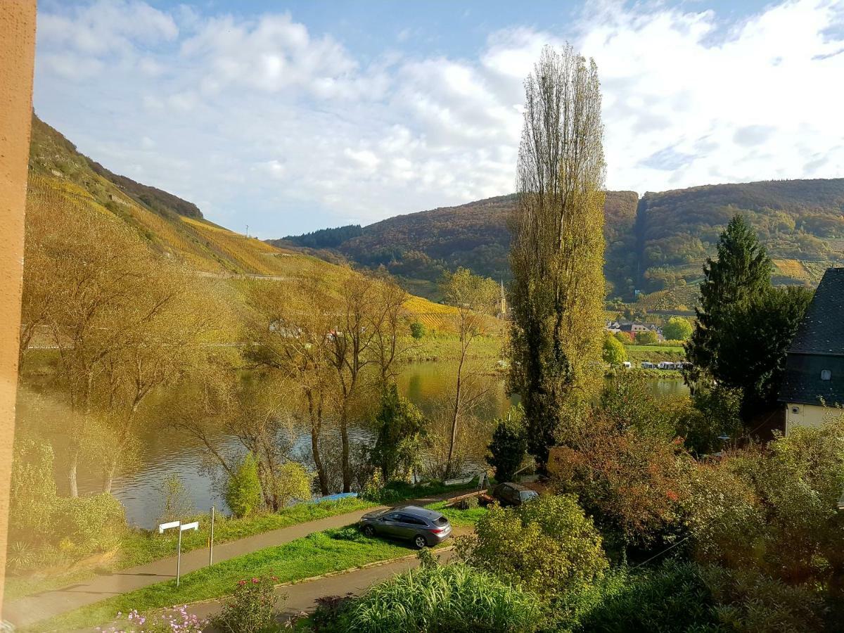 Haus Lowe Apartment Senheim Bagian luar foto